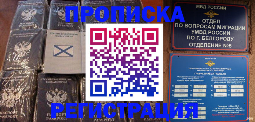 прописка гарантия в Химках